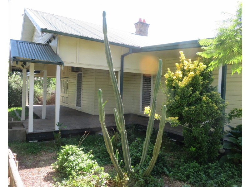 38 Maitland Street, Muswellbrook NSW 2333