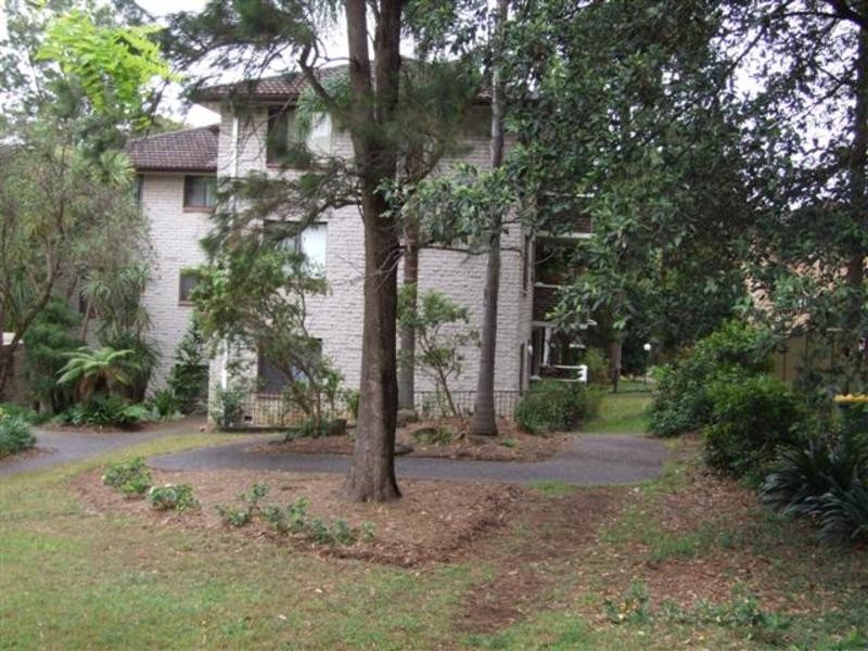Telopea NSW 2117