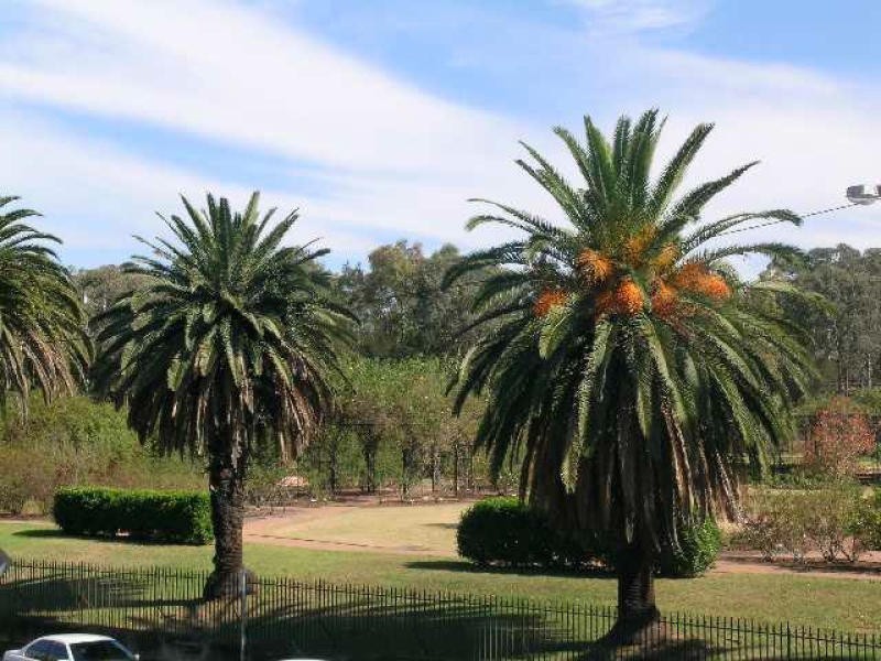 Parramatta NSW 2150