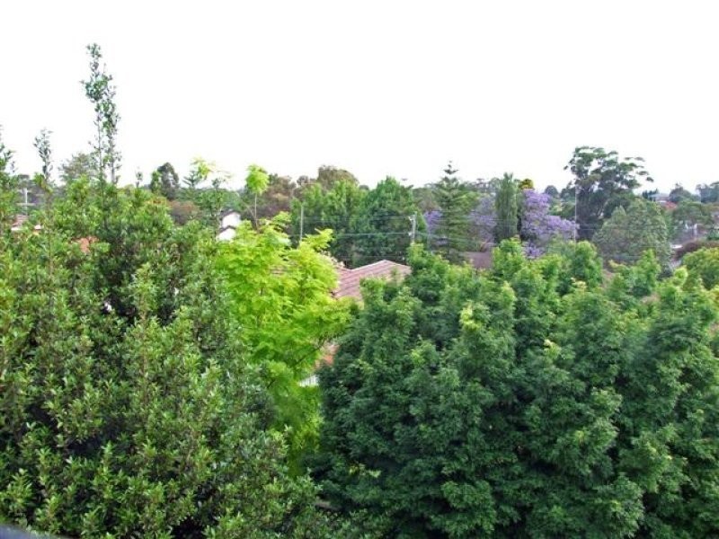 Winston Hills NSW 2153