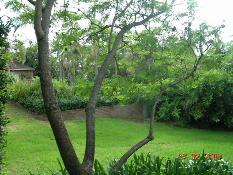 5/40 Strathalbyn Avenue, Oatlands NSW 2117