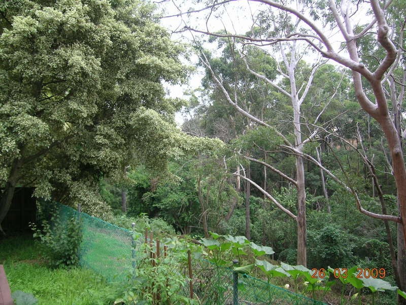 1/7 Garden Street, Telopea NSW 2117