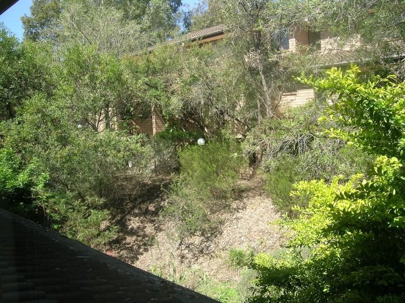 24/110 Crimea Road, Marsfield NSW 2122