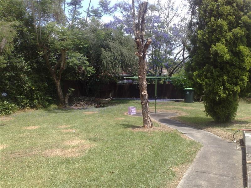 36 Baker Street, Carlingford NSW 2118