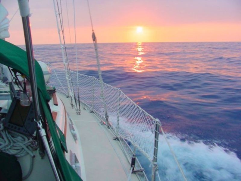 1/1 Your Street, Carlingford NSW 2118