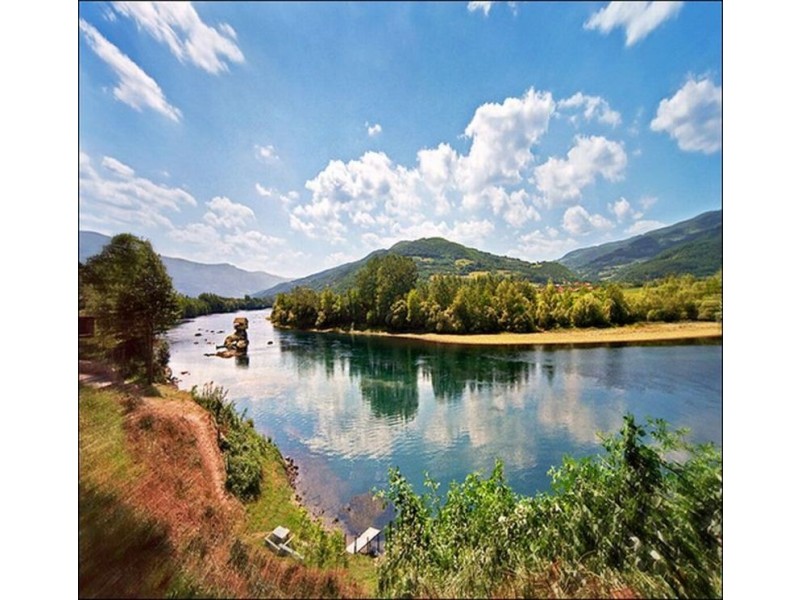 1 Your Street, Carlingford NSW 2118