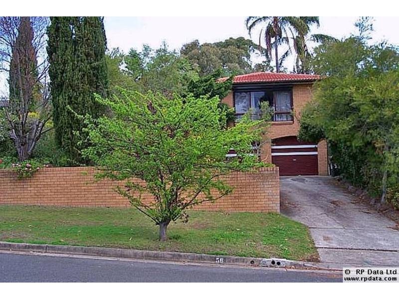 56 Carmen Drive, Carlingford NSW 2118