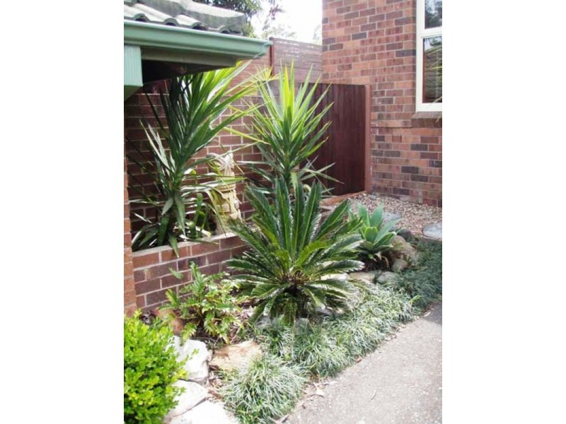 5 Hancey Street, North Rocks NSW 2151