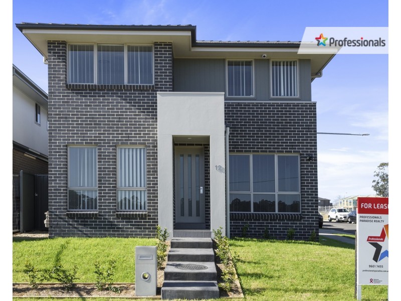 12 Buchan Avenue, Edmondson Park NSW 2174