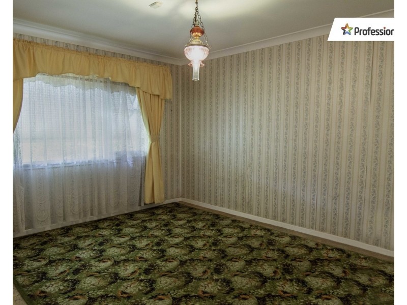 15 Gowrie Place, Cabramatta NSW 2166