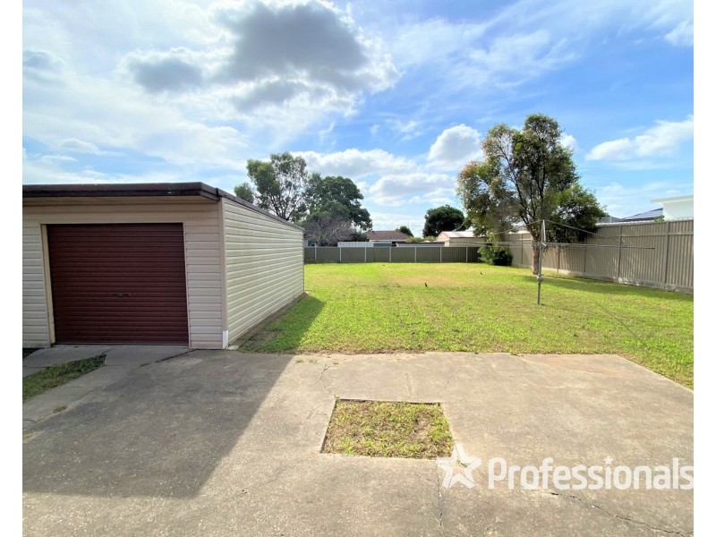 20 Apex Street, Liverpool NSW 2170