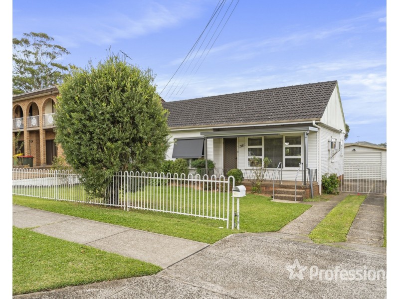 55 Reservoir Road, Mount Pritchard NSW 2170