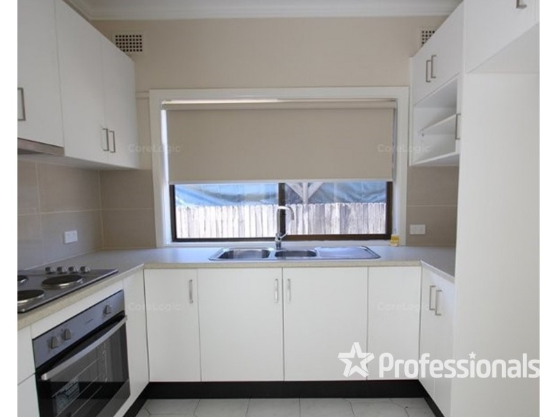 119 Atkinson Street, Liverpool NSW 2170