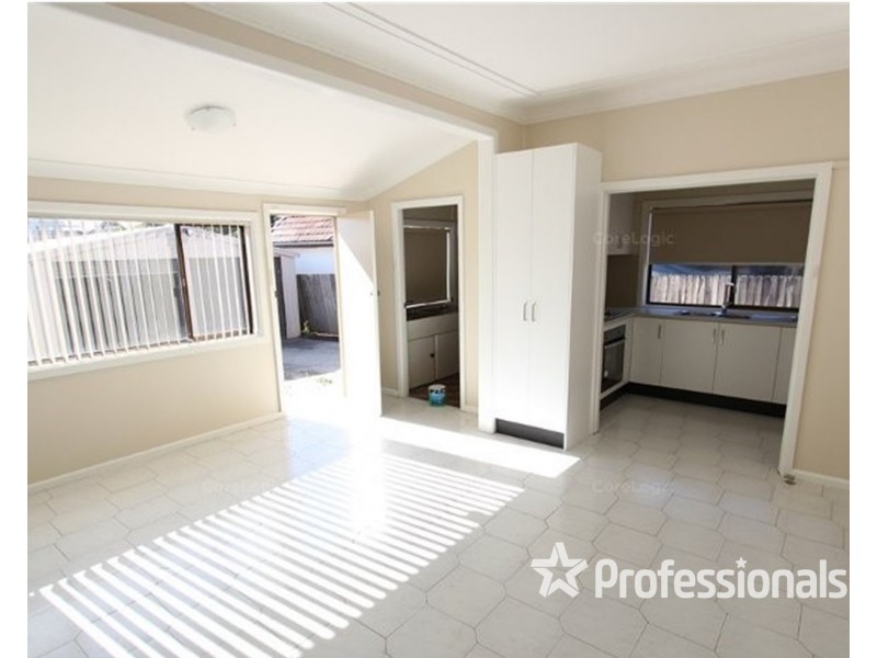 119 Atkinson Street, Liverpool NSW 2170