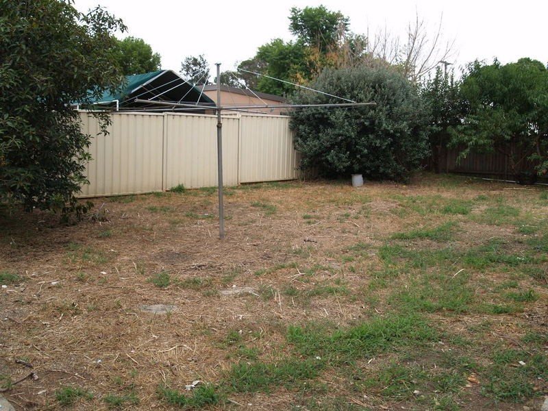 11 Naranghi Street, Busby NSW 2168