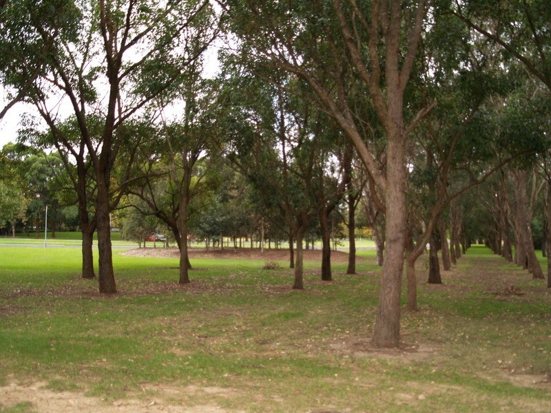 19/6 Mead Drive, Chipping Norton NSW 2170