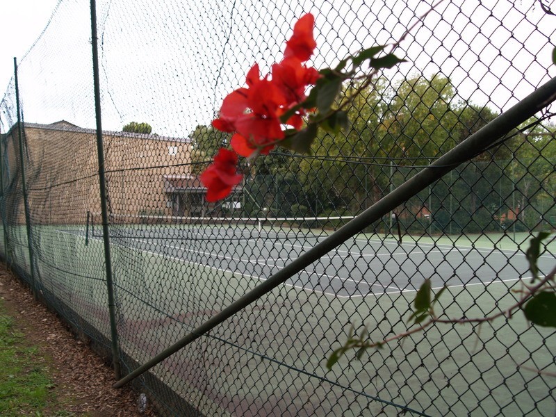 19/6 Mead Drive, Chipping Norton NSW 2170