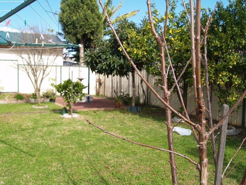 9 Culburra Street, Prestons NSW 2170