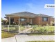 13 Murphy Avenue, Liverpool NSW 2170