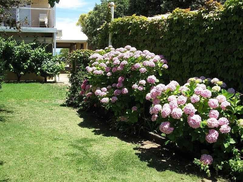 55 Esplanade, Sellicks Beach SA 5174