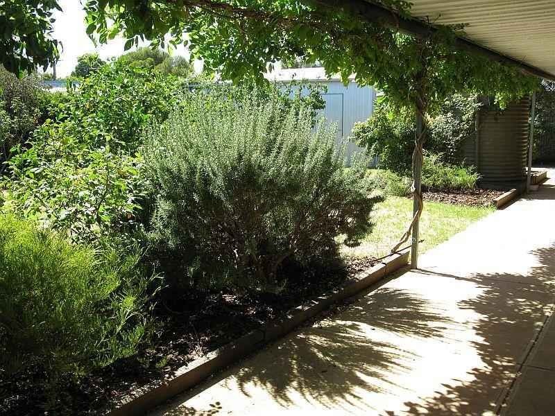 3 Strout Street, Aldinga Beach SA 5173