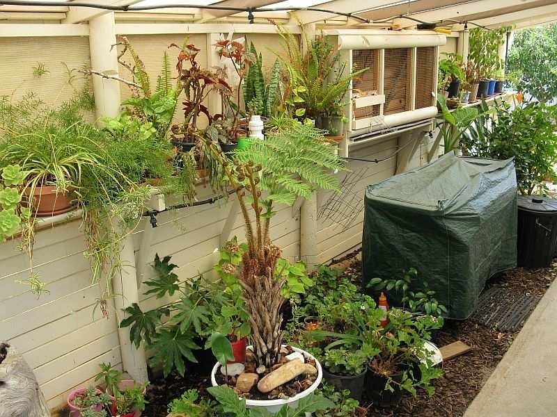 16 Samarra Drive, Sellicks Beach SA 5174