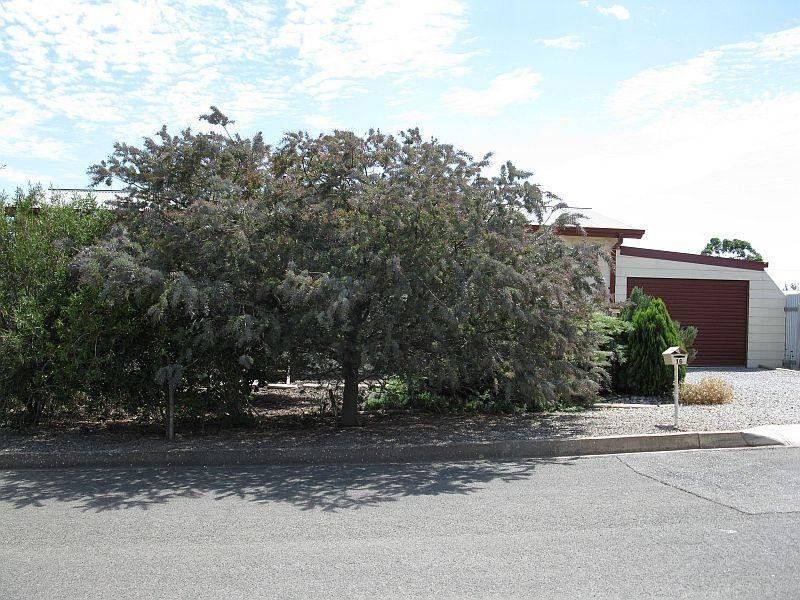 16 Samarra Drive, Sellicks Beach SA 5174