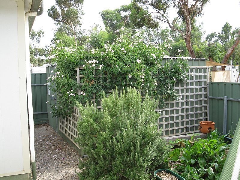 Site 39 Aldinga Holiday Park, Cox Road, Aldinga Beach SA 5173