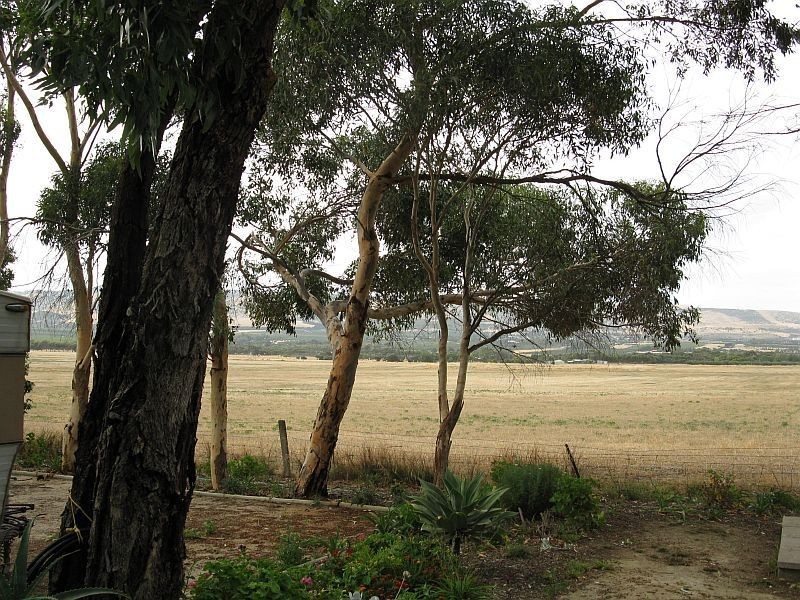 Site 39 Aldinga Holiday Park, Cox Road, Aldinga Beach SA 5173