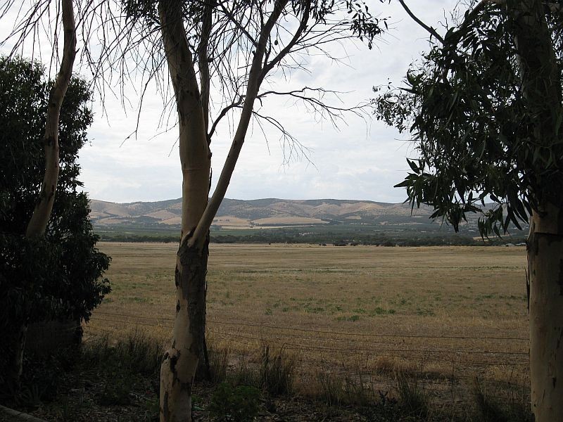 Site 39 Aldinga Holiday Park, Cox Road, Aldinga Beach SA 5173