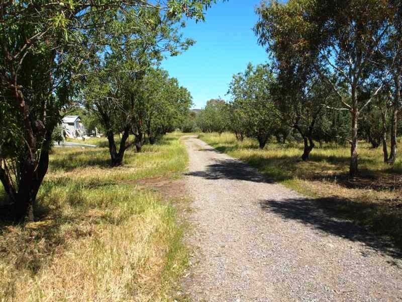 Lot  208 Ryans  Road, Whites Valley SA 5172