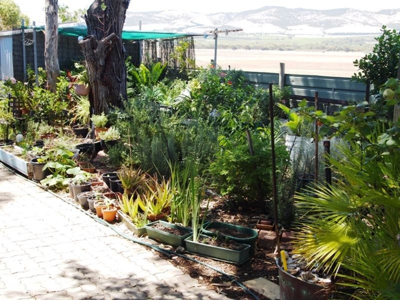 Site 43 Aldinga Beach Holiday Park, Cox Road, Aldinga Beach SA 5173