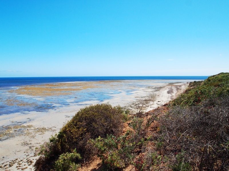 15 Stock Street, Aldinga Beach SA 5173