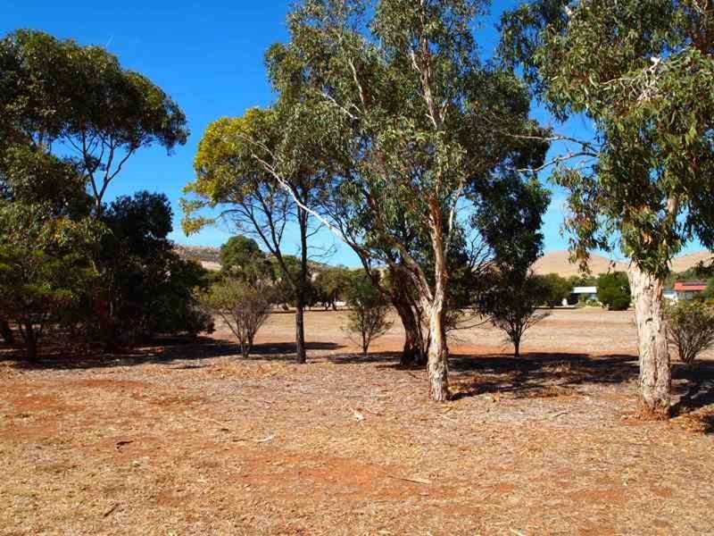 104 Alexander Street, Sellicks Beach SA 5174