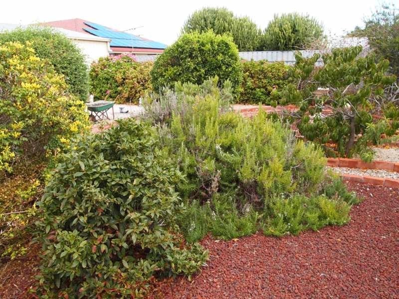 31 Gordon Street, Aldinga Beach SA 5173