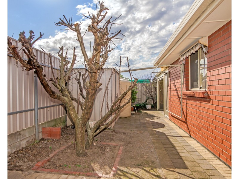 19 Deane Avenue, Noarlunga Downs SA 5168