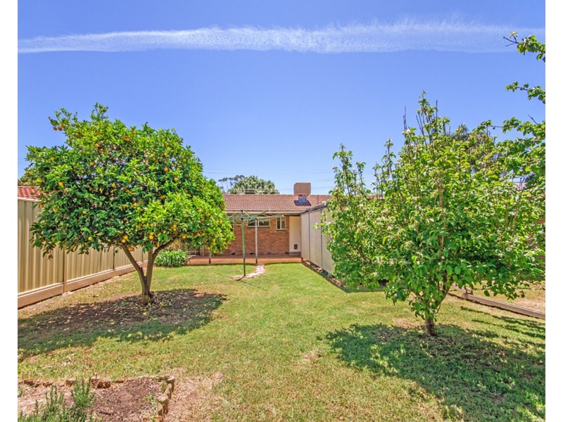 16 Acacia Road, Morphett Vale SA 5162