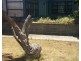 21 Elgin Avenue, Christies Beach SA 5165
