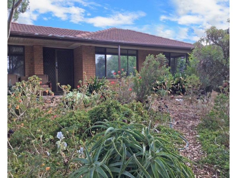 19 Woocalla Street, O’sullivan Beach SA 5166