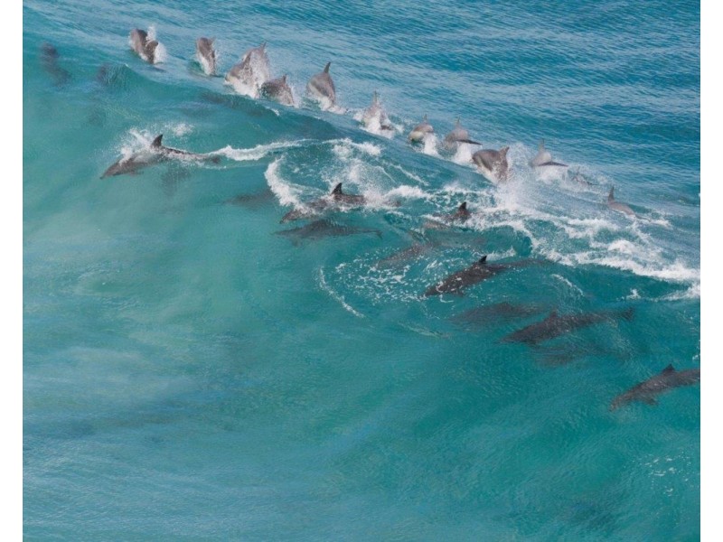 Lot Lot, 172 Borda Road, Island Beach SA 5222