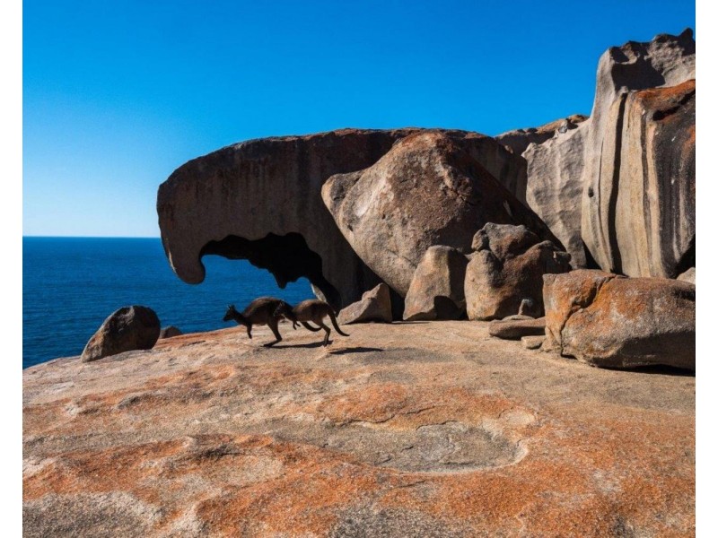 Lot Lot, 172 Borda Road, Island Beach SA 5222