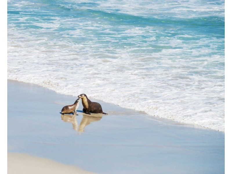 Lot Lot, 172 Borda Road, Island Beach SA 5222