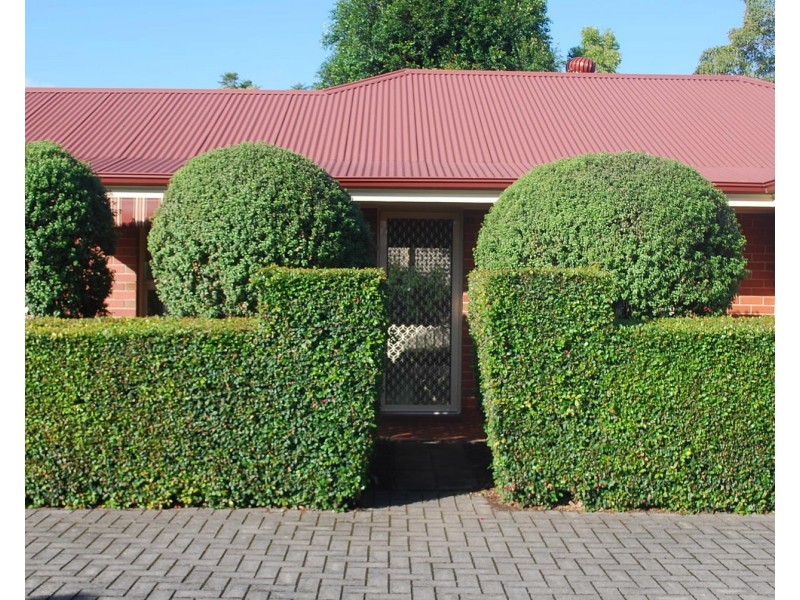 2/15B Howard Street, Underdale SA 5032