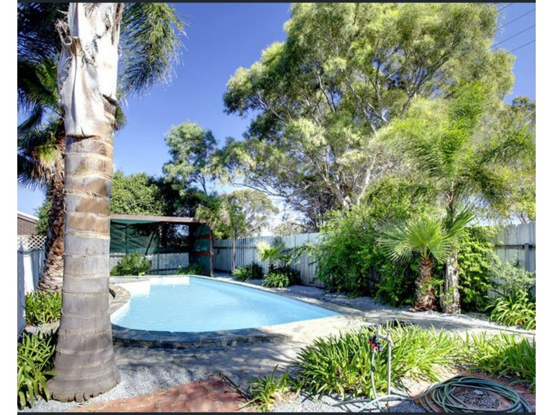 37 Riordan Street, Morphett Vale SA 5162