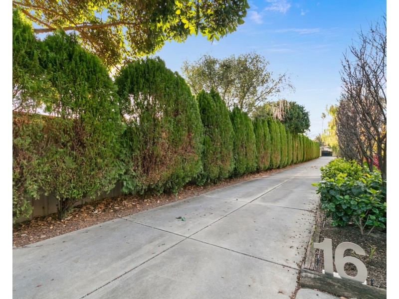 6/16 Watson Street, Fullarton SA 5063