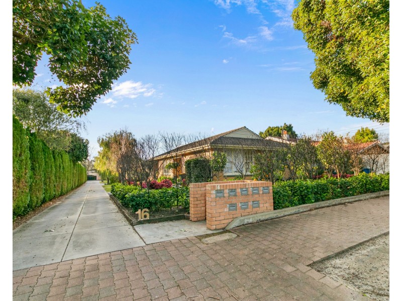 6/16 Watson Street, Fullarton SA 5063