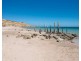 8 Seaberry Walk, Aldinga SA 5173