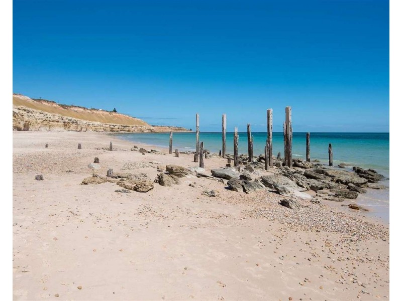 8 Seaberry Walk, Aldinga SA 5173