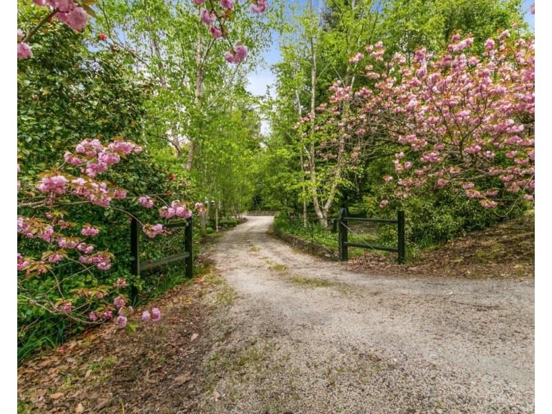 25 Longwood Drive, Stirling SA 5152