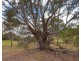 Lot Lot, 77  Eagle Court, Wirrina Cove SA 5204